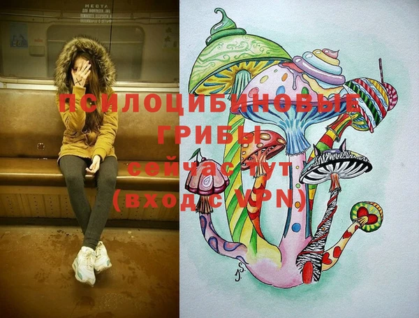 скорость Бронницы