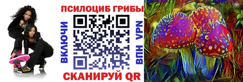 Псилоцибиновые грибы Cubensis  Прокопьевск 
